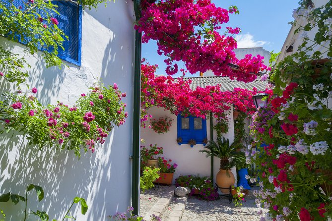 Authentic Patios of Cordoba Guided Tour - Key patio-tour takeaways