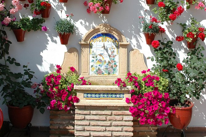 Authentic Patios of Cordoba Guided Tour - Patios de Córdoba: your second set of courtyards and the festival context