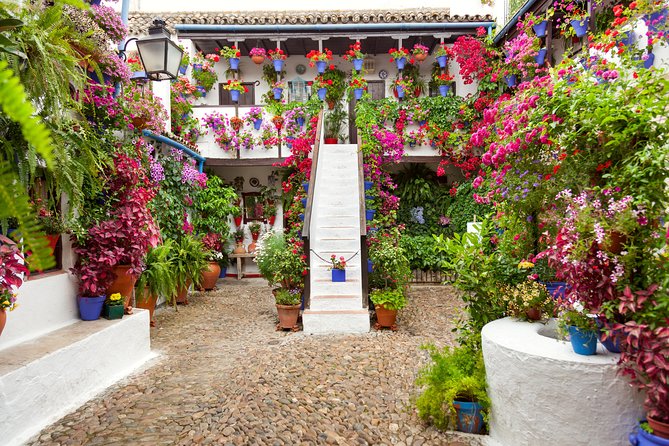 Authentic Patios of Cordoba Guided Tour - Timing, crowds, and how to avoid feeling rushed
