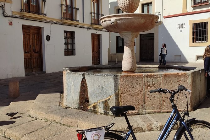 Bike Tour Córdoba - Should You Book the Bike Tour Córdoba?