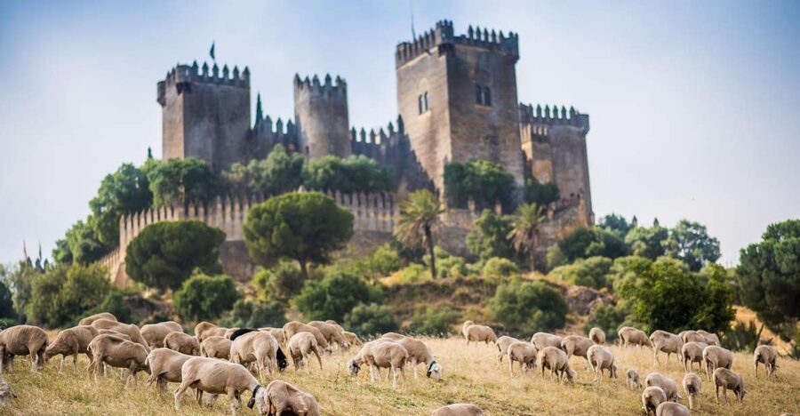 Córdoba: Almódovar Castle Entrance Ticket - Key highlights you’ll feel in your feet and your photos