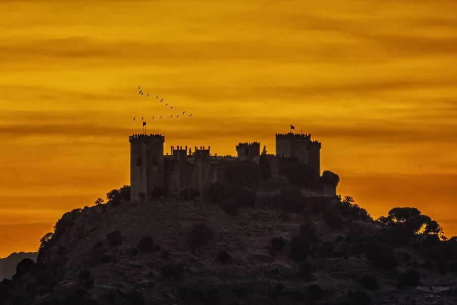 Córdoba: Almódovar Castle Entrance Ticket - Getting there from Córdoba (and why the route matters)