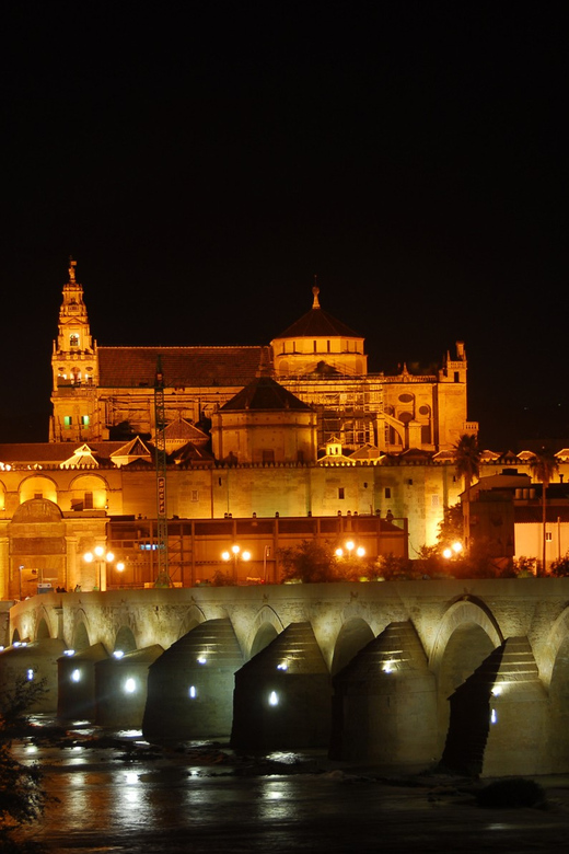 Cordoba at Night by Bike, Electric Bike - Quick takeaways before you book