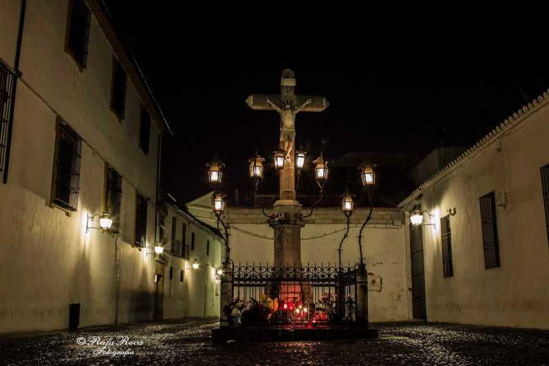 Cordoba at Night by Bike, Electric Bike - Bike vs electric bike vs segway: choosing the right vibe