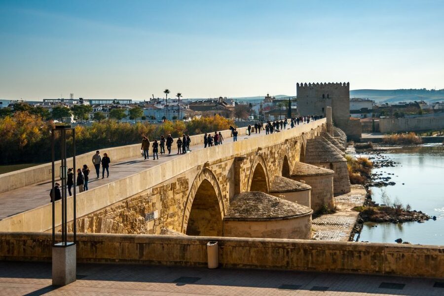 Córdoba: City Sightseeing Hop-On Hop-Off Bus Tour - The stops that matter most: what you’ll see and why it’s memorable