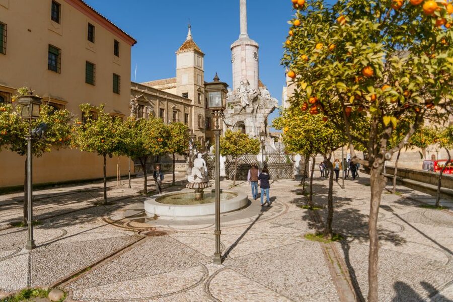 Córdoba: City Sightseeing Hop-On Hop-Off Bus Tour - Timing tips that save you from waiting forever