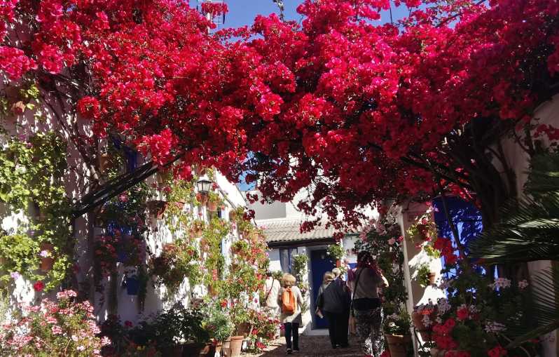 Cordoba Courtyards by Bike, Electric Bike - Quick hits: what makes this Cordoba bike patio tour work
