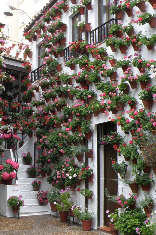 Cordoba Courtyards by Bike, Electric Bike - Why Cordoba’s patios feel tailor-made for a bike tour
