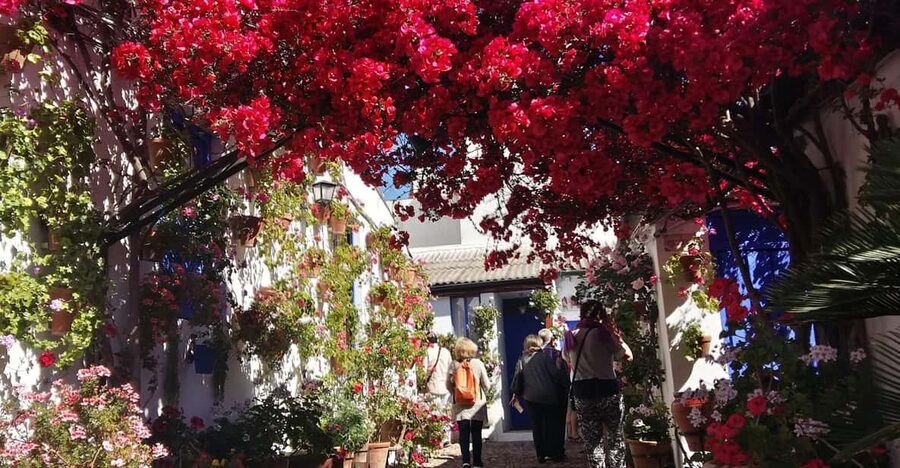 Cordoba Courtyards by Bike, Electric Bike - The 1.5–2 hour plan: how the route usually unfolds