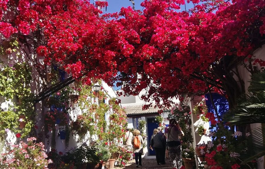 Cordoba Courtyards by Bike, Electric Bike - Stops 2 and 3: comparing styles without making it a scavenger hunt