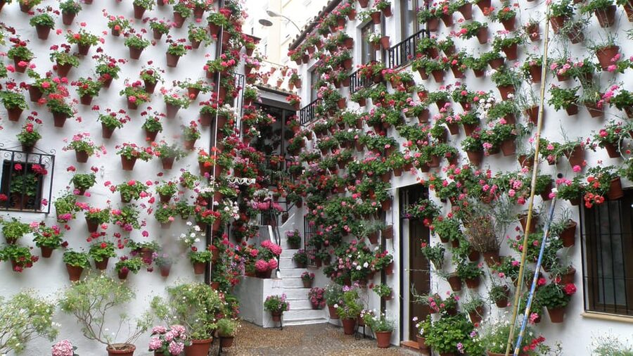 Cordoba Courtyards by Bike, Electric Bike - Stop 4: the story behind the patios tradition (and the UNESCO link)