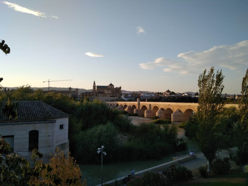 Córdoba Daily Highlights Bike Tour - Key Highlights Worth Looking Forward To