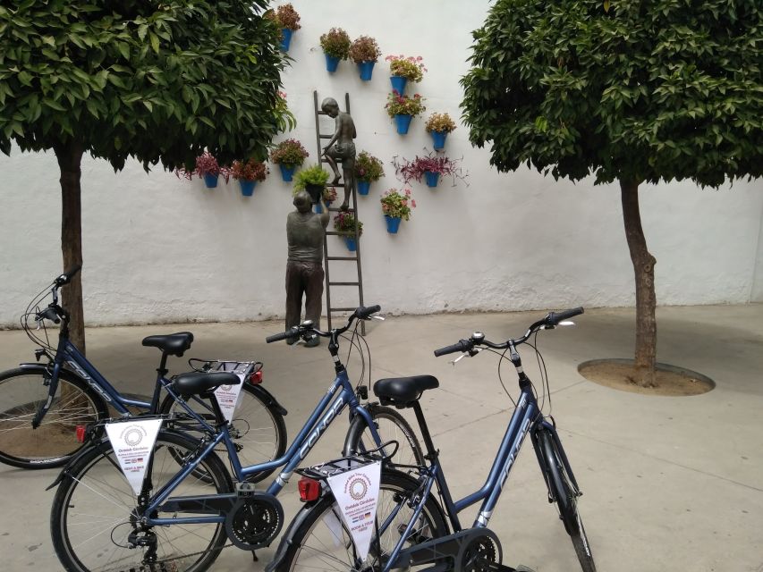Córdoba Daily Highlights Bike Tour - Roman Bridge and the Viewpoint Moments