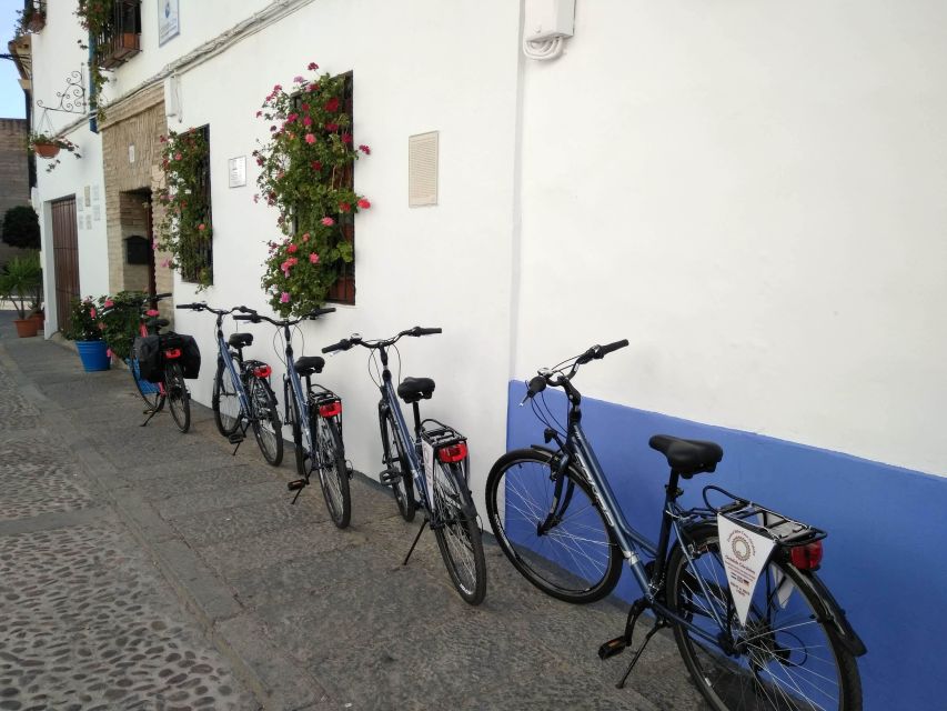 Córdoba Daily Highlights Bike Tour - Calahorra Tower–Museum: A Practical Stop, Not Just a Name on a Map