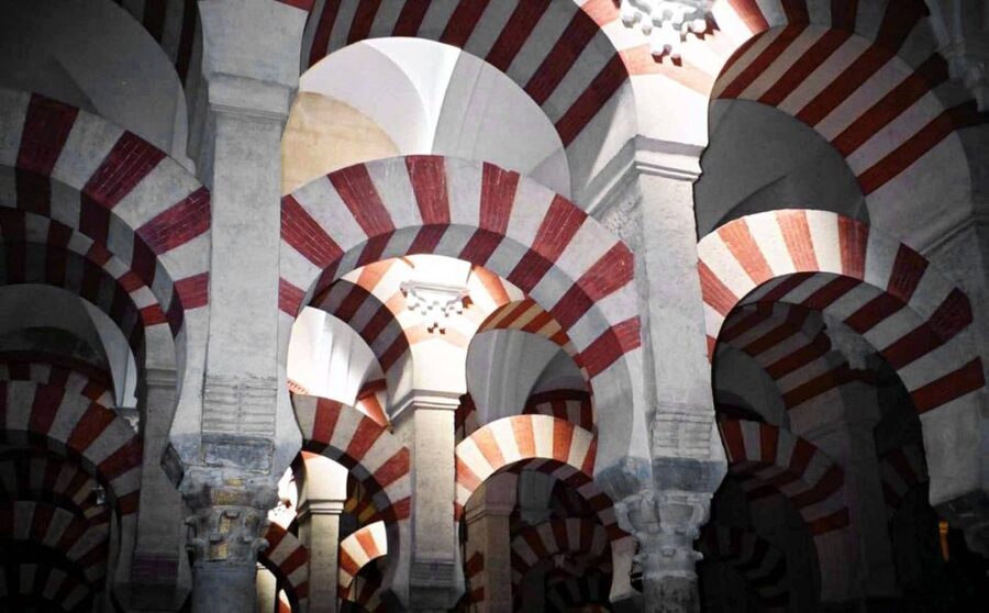 Cordoba: Early Bird Private Tour of the Mosque-Cathedral - Getting in early at the right place: Patio de los Naranjos