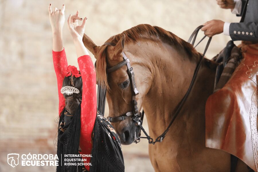 Cordoba: Equestrian Show General Entry - Key things to know before you go