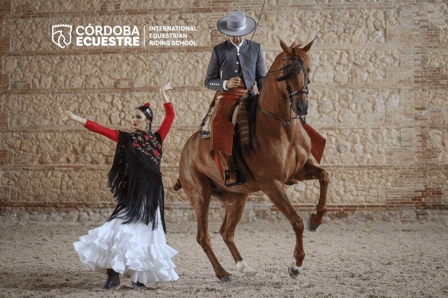 Cordoba: Equestrian Show General Entry - Horses you can actually admire: why the Andalusian style matters