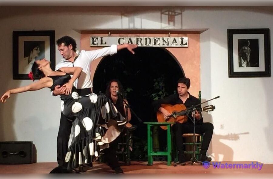 Córdoba: Flamenco Show Ticket with Drinks - Should You Book It? My Straight Answer