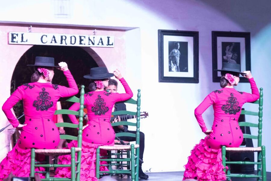 Córdoba: Flamenco Show Ticket with Drinks - Who This Flamenco Ticket Fits Best