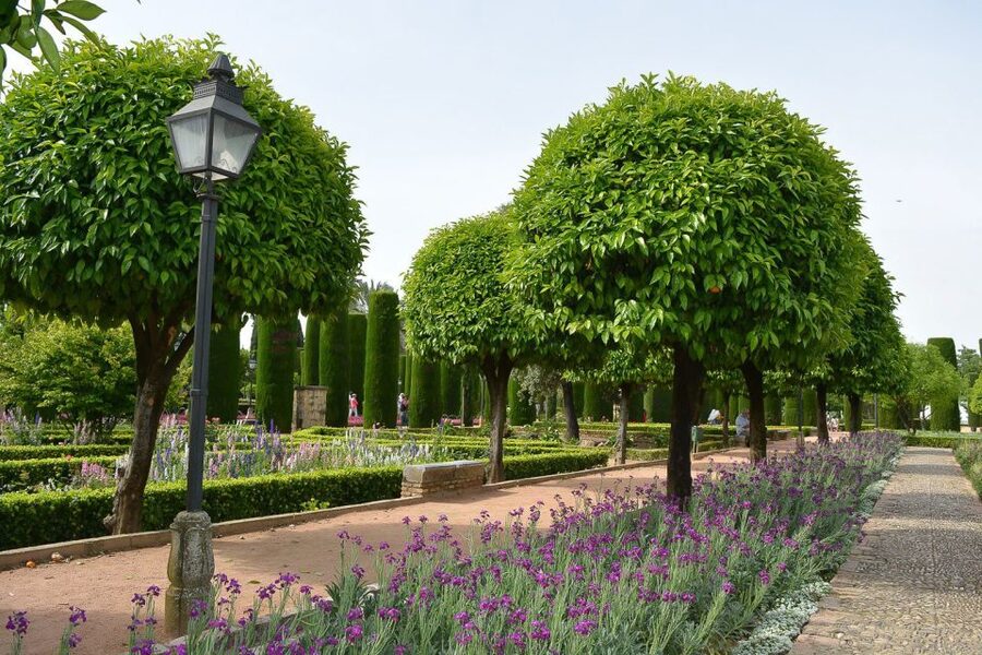 Cordóba: Gardens & Fortress of Catholic Monarchs Guided Tour - Meeting point and how to show up smoothly at Avenida del Alcázar