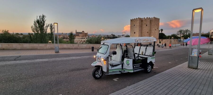 Córdoba: Guided City Tour by Tuk-Tuk - Why Córdoba’s tuk-tuk route works in the old city
