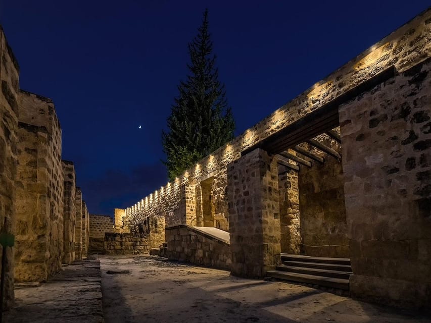 Cordoba: Guided Tour of Medina Azahara at Night - Caliphal and Islamic art: what your guide helps you notice