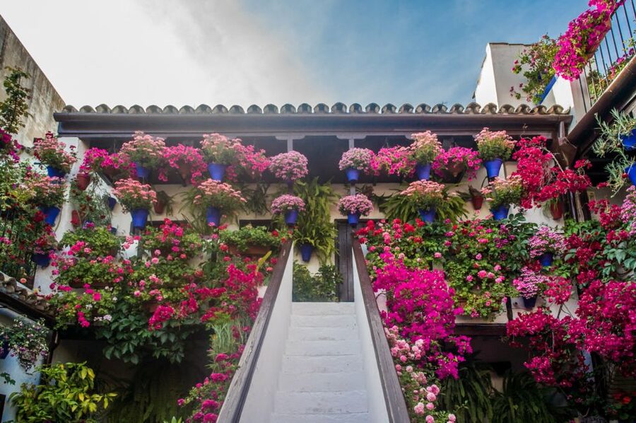 Córdoba: Guided Tour of the Patios - Key points before you go