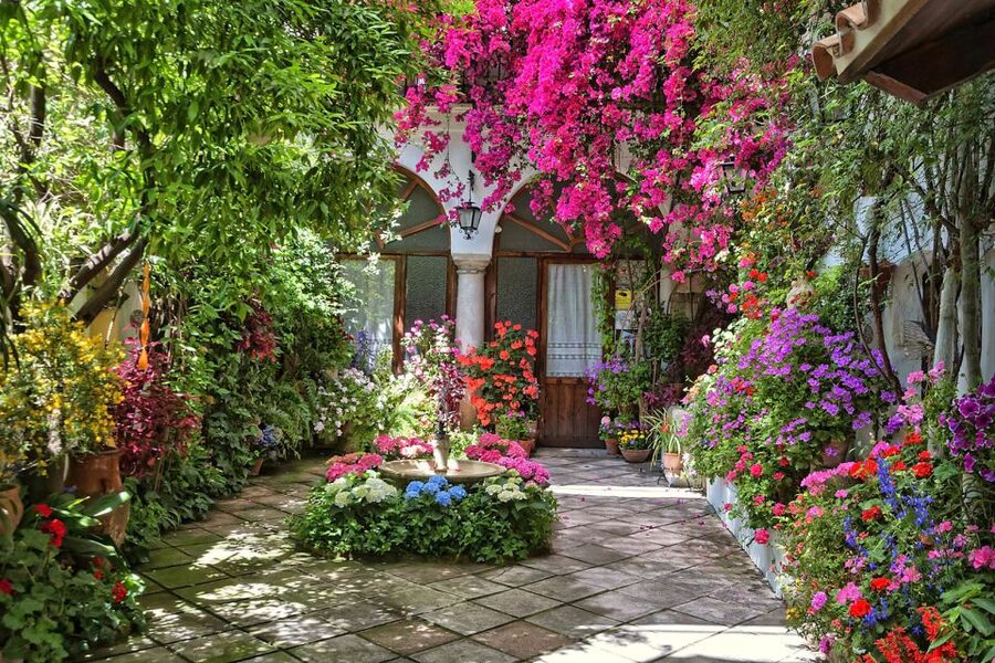 Córdoba: Guided Tour of the Patios - What you’ll see inside: flowers, shade, and different patio styles