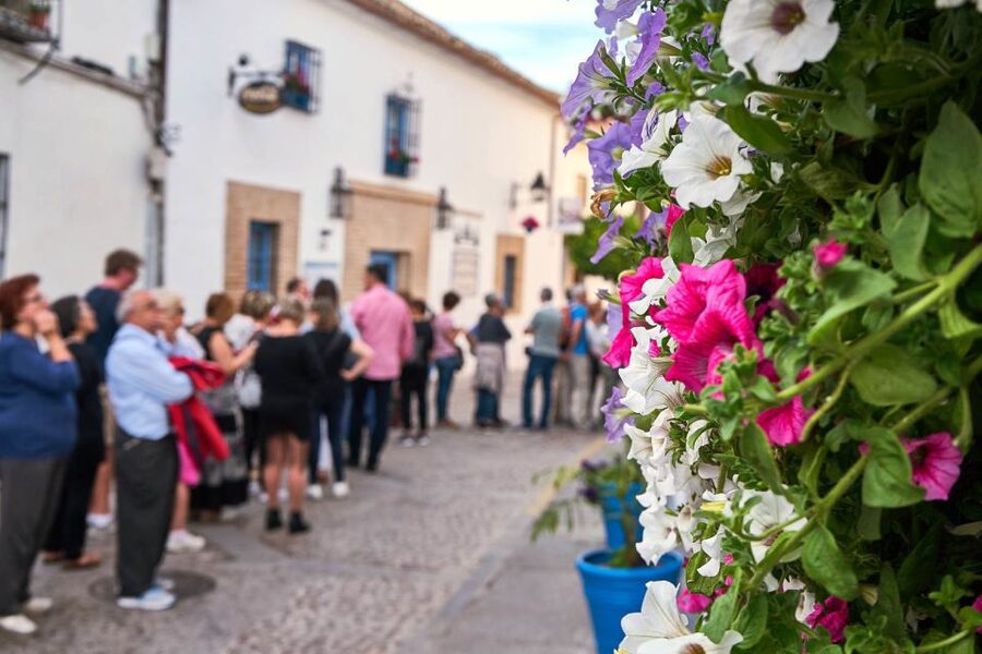 Córdoba: Guided Tour of the Patios - Value check: is $23 worth it?