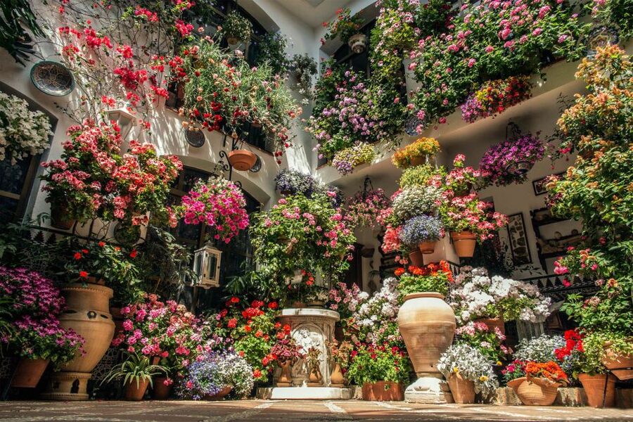 Córdoba: Guided Tour of the Patios - Practical tips that keep the experience smooth