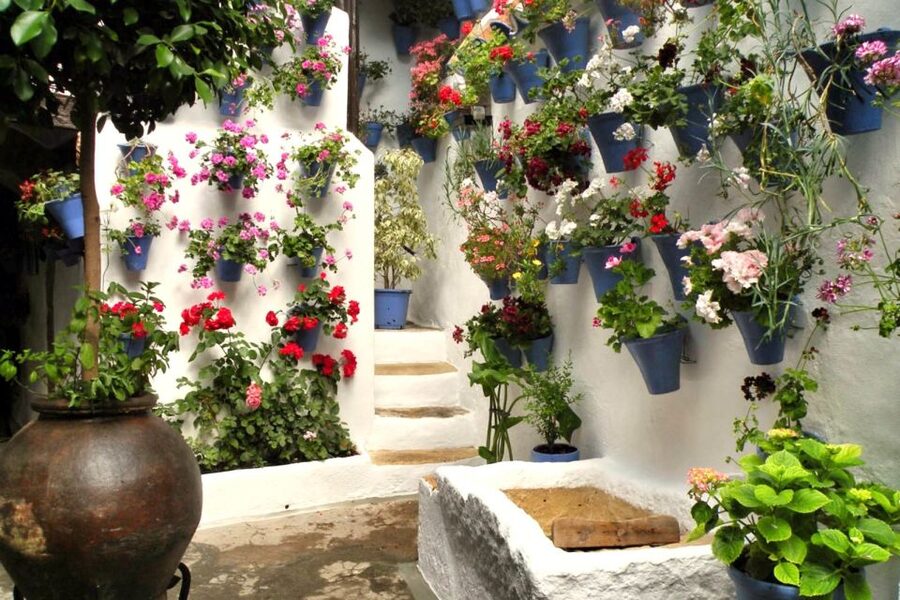 Córdoba: Guided Tour of the Patios - The 1.5-hour plan: where you start and how the timing works