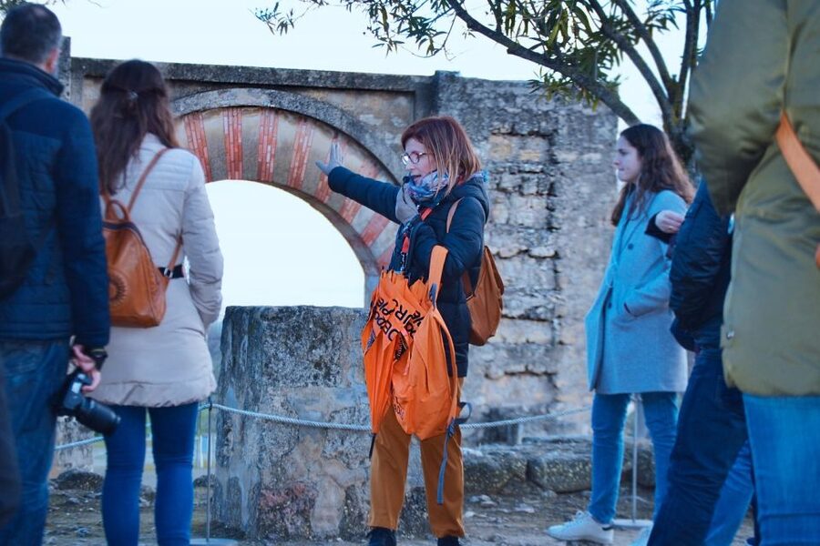Cordoba: Half-Day Medina Azahara Guided Tour - Who Should Book This Half-Day Medina Azahara Tour?