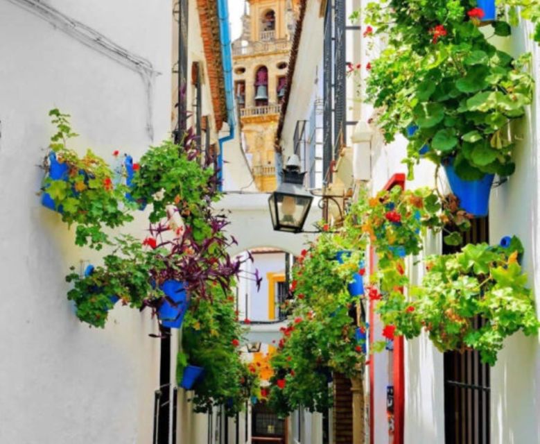Cordoba: Historical Monuments of Cordoba City Walking Tour - The Jewish Quarter walk: where the stories start to click