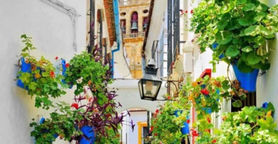 Cordoba: Historical Monuments of Cordoba City Walking Tour - Starting at the Alcázar de los Reyes Cristianos: secrets, gardens, and stairs