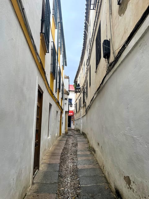 Cordoba: Jewish History Private Tour - Moshe Ben Maimon’s Monument: Where Ideas Turn Into Impact
