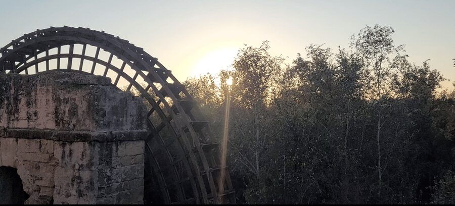 Córdoba Mid-Morning Walk - Small Groups, Native English. - Key highlights worth your morning