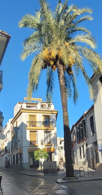 Córdoba Mid-Morning Walk - Small Groups, Native English. - Ceramics, calabaza lamps, and olive oil: practical local shopping ideas