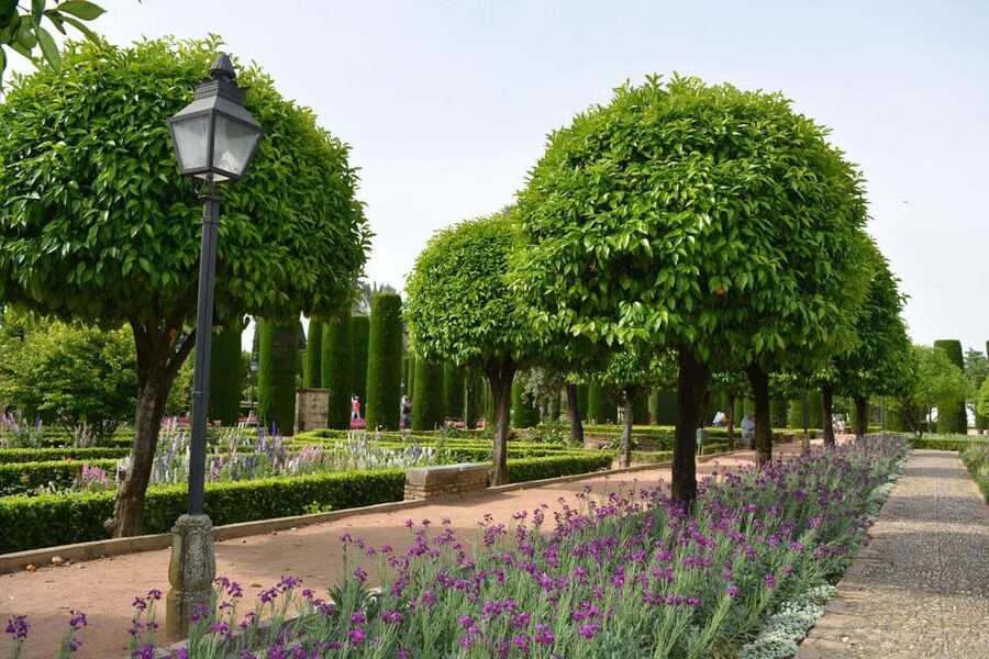 Cordoba: Monuments Walking Tour - Tickets, Skip-the-Line Access, and the Real Value of $66