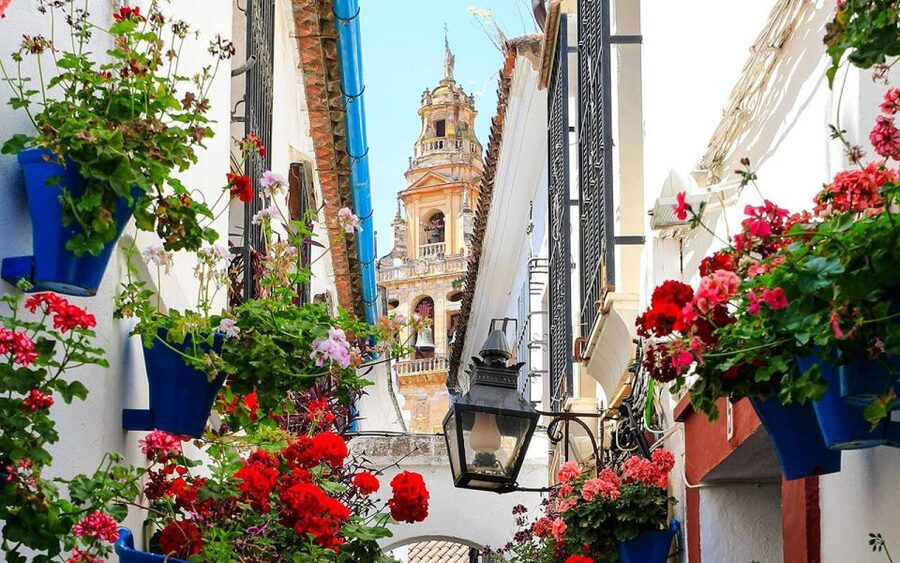 Córdoba: Mosque and Alcazar Private Tour with tickets - Why Córdoba Works Best on Foot Between the Mosque and Alcázar