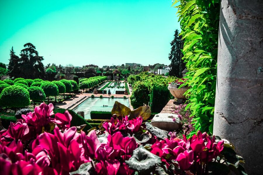 Córdoba: Mosque-Cathedral and Alcazar Tour - Who This Tour Suits (and Who Should Skip It)