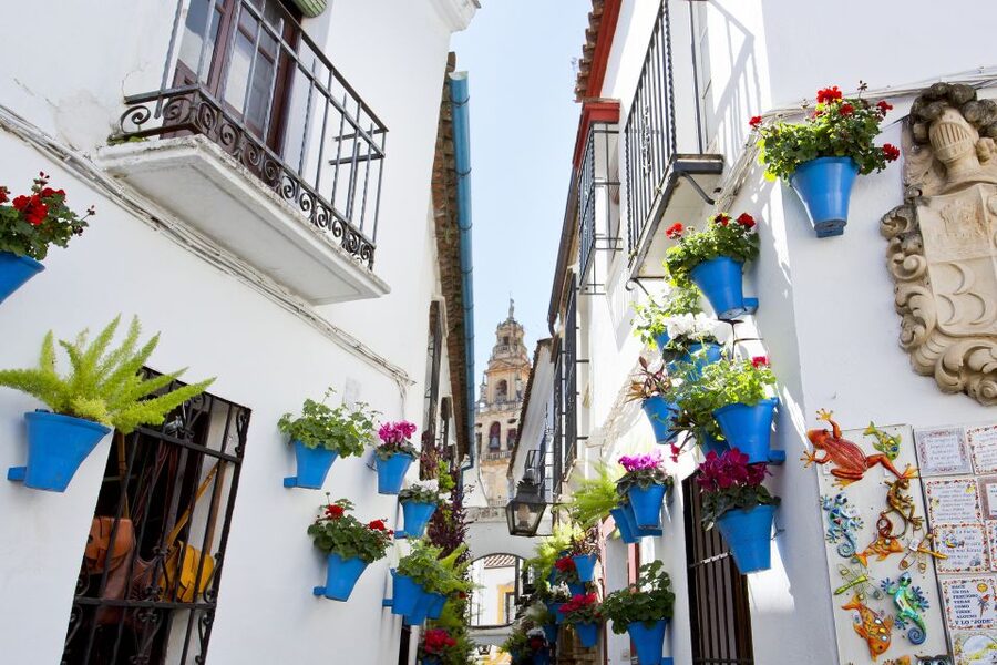 Cordoba Mosque & Jewish Quarter Tour with Tickets - Mosque-Cathedral in Cordoba: what makes the 2.5-hour plan work