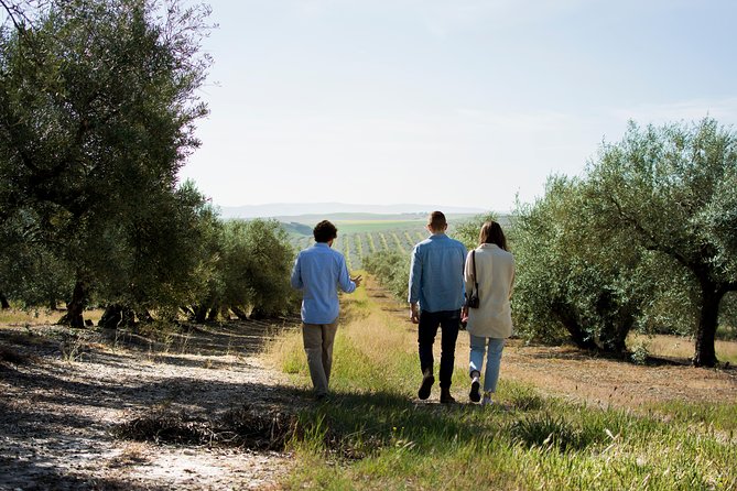 Cordoba Olive Oil mill, Wine, Passion - Key highlights that matter