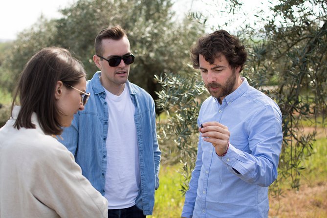 Cordoba Olive Oil mill, Wine, Passion - Córdoba olive oil, but make it Spanish (and practical)