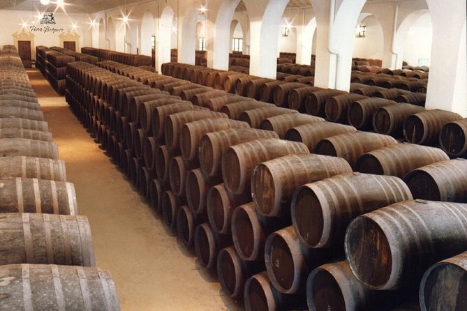Cordoba Olive Oil mill, Wine, Passion - Inside the olive grove story: ancient plantings and real change