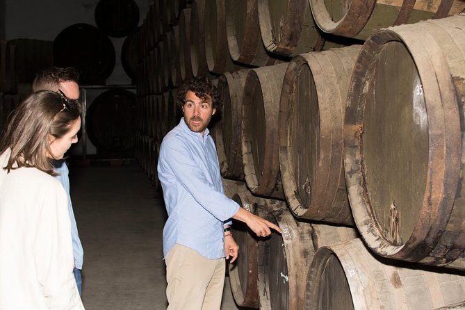 Cordoba Olive Oil mill, Wine, Passion - Extra virgin olive oil tasting: what to pay attention to