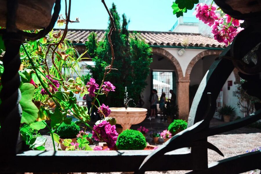 Cordoba: Patios and Viana Palace Tour - Key highlights you’ll feel fast
