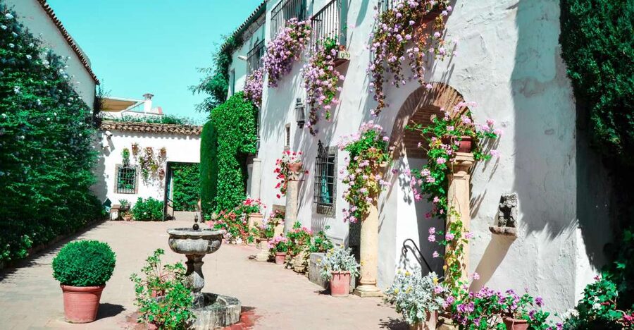 Cordoba: Patios and Viana Palace Tour - Why this 2-hour Viana Palace tour works so well