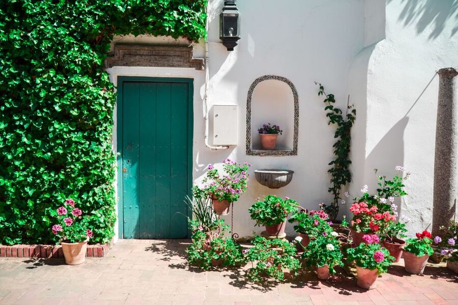Cordoba: Patios and Viana Palace Tour - Patios first: what 12 courtyards actually gives you
