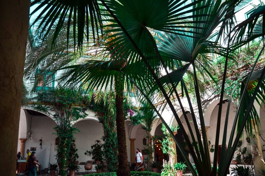 Cordoba: Patios and Viana Palace Tour - Who this tour suits best (and who should skip it)