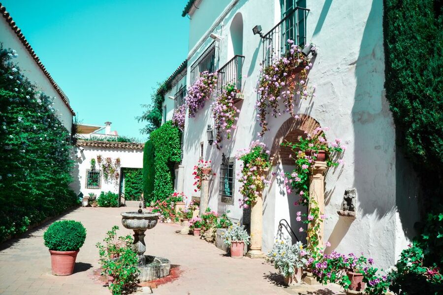 Cordoba: Patios and Viana Palace Tour - Meeting at Palacio de Viana and setting yourself up